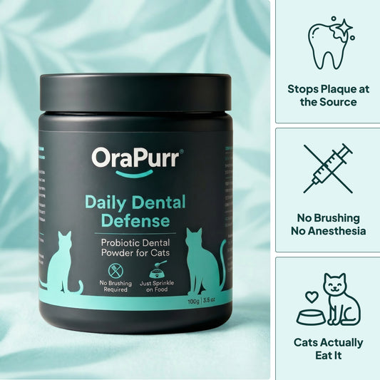OraPurr — Daily Dental Defense