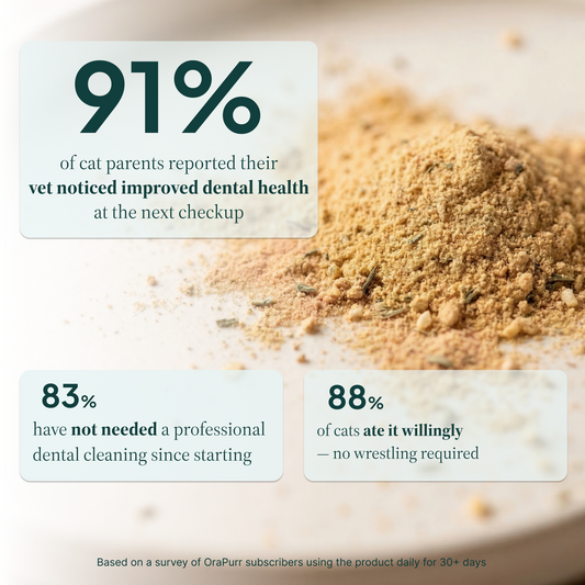 OraPurr — Daily Dental Defense