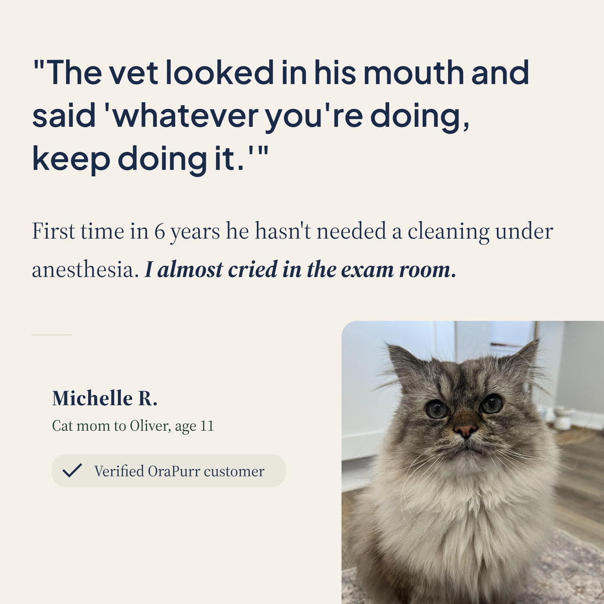 Daily Dental Defense