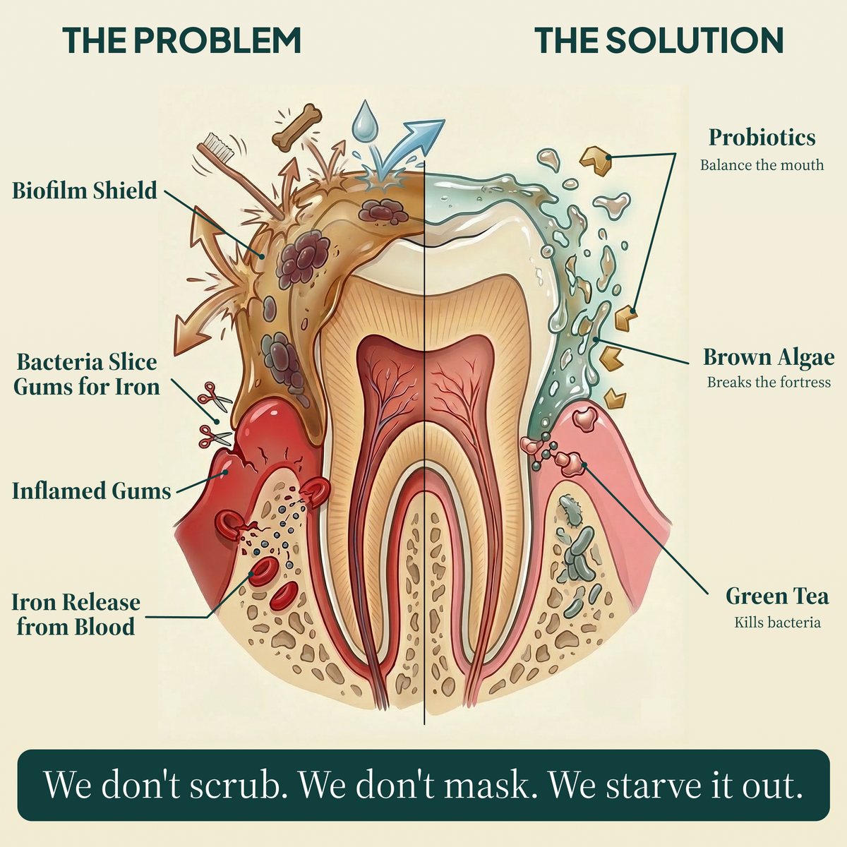 Daily Dental Defense