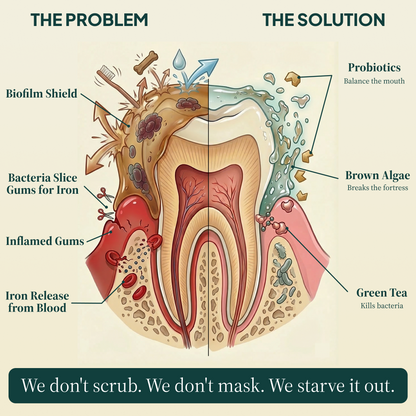 Daily Dental Defense