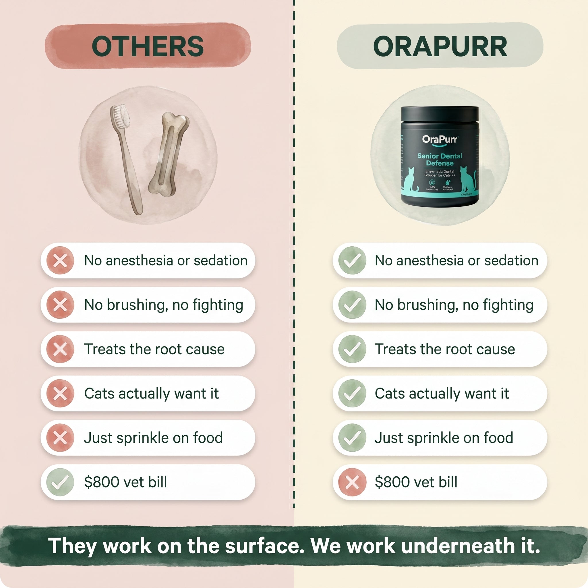OraPurr — Daily Dental Defense