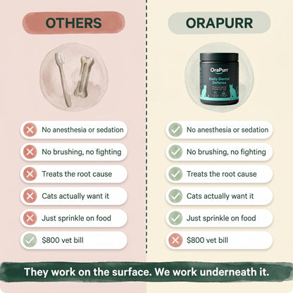 Daily Dental Defense