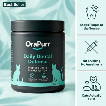 Daily Dental Defense