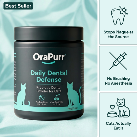 Daily Dental Defense