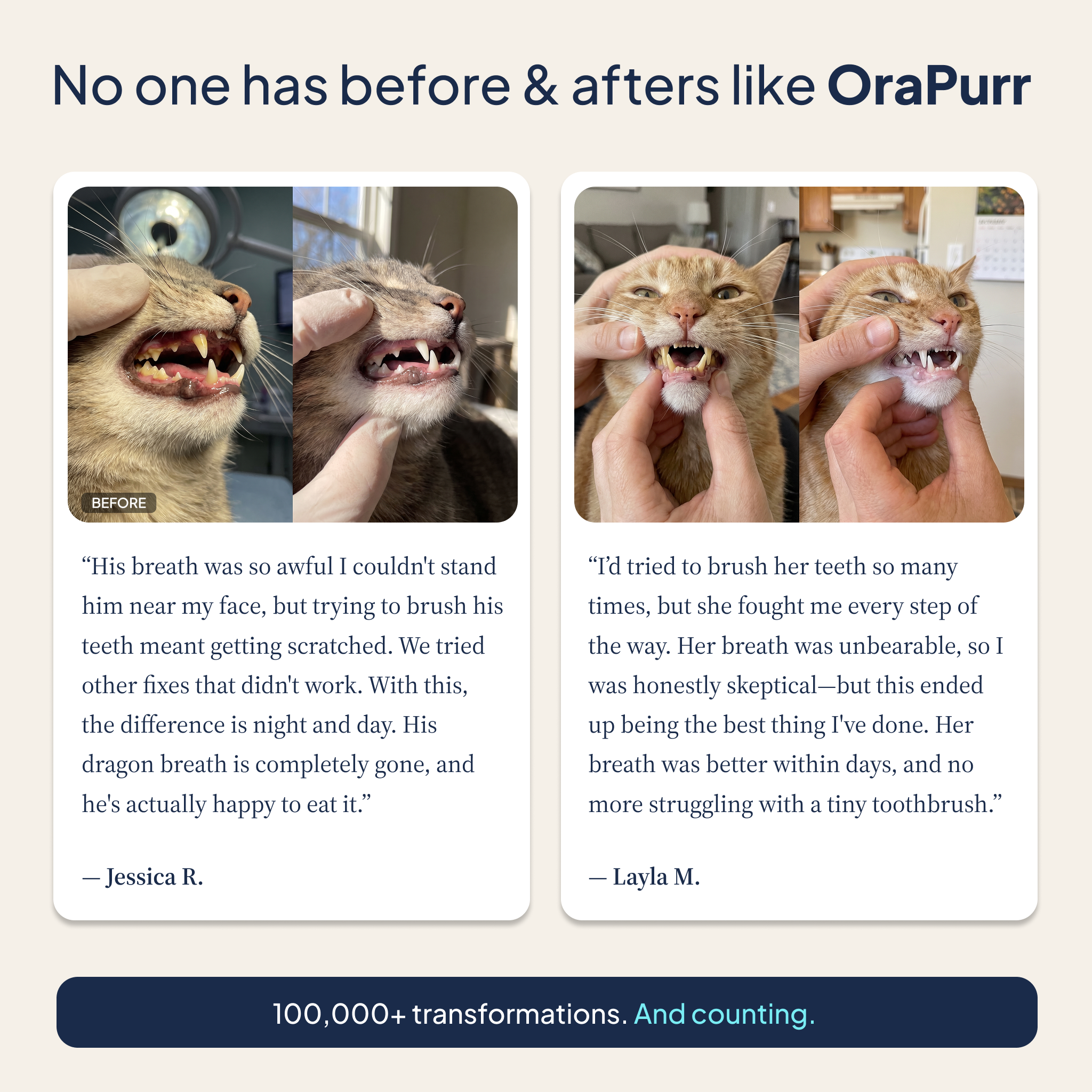 Daily Dental Defense